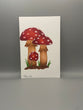 Toadstool Mushroom Illustration