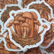 Beech Mushroom Sticker