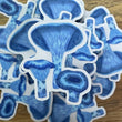 Indigo Milk Cap Mushrooms Sticker